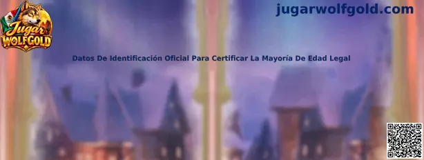 Guía sobre identificación oficial y comprobación de mayoría de edad para usuarios adultos en México