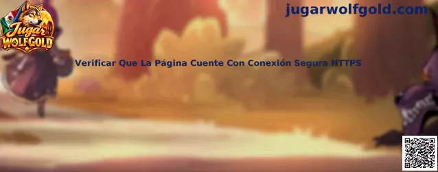 Verificación de conexión segura HTTPS