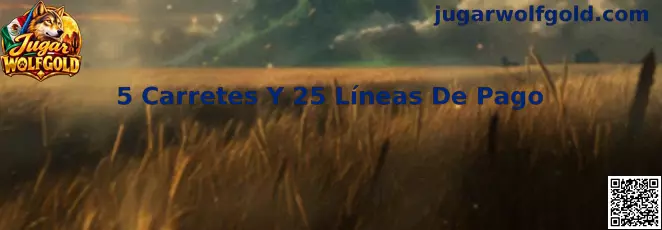 5 Carretes Y 25 Líneas De Pago en Wolfgold
