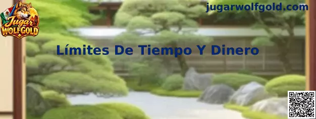 Guía sobre límites de tiempo y dinero para jugar Wolfgold
